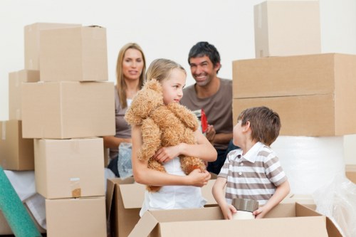 Professional van transport for small removals in Brompton
